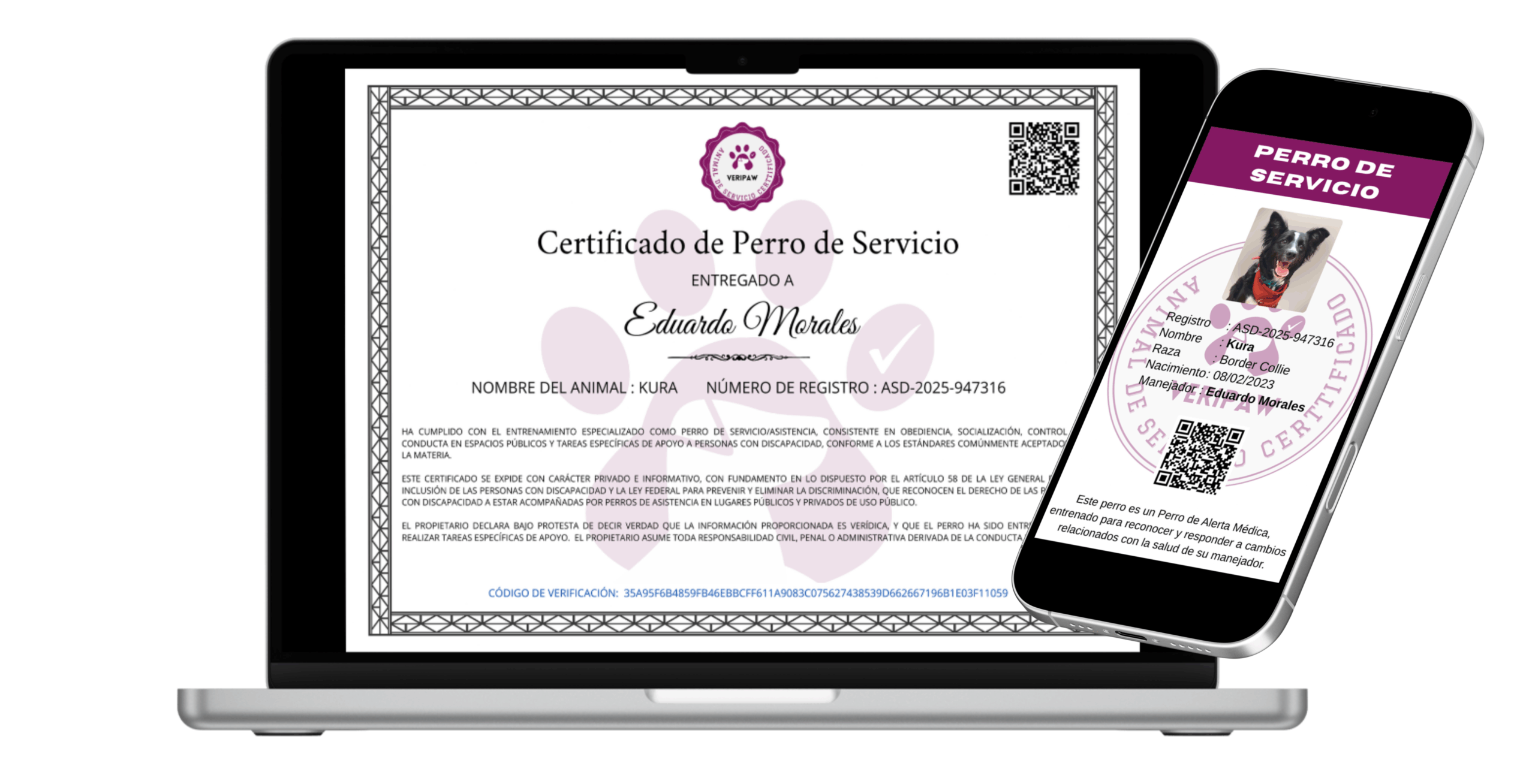 Certificación de Perro de Servicio - Imagen 2