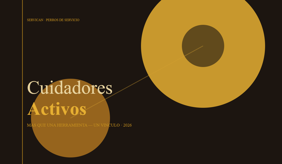 blog1-cuidadores