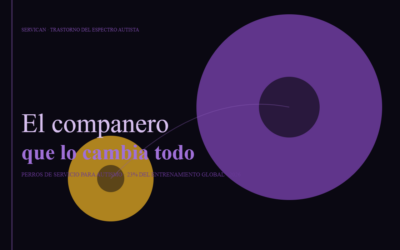 El compañero que lo cambia todo: perros de servicio para niños con autismo