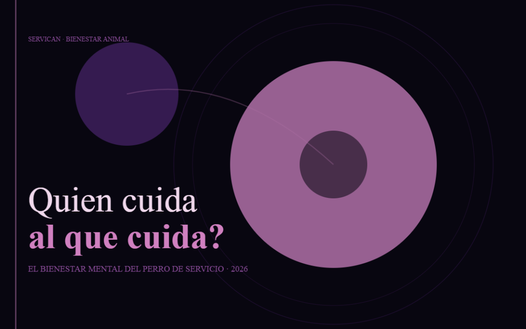 ¿Quién cuida al que cuida? El bienestar mental del perro de servicio